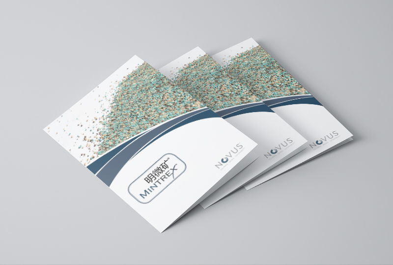 產(chǎn)品宣傳二折頁設(shè)計(jì)