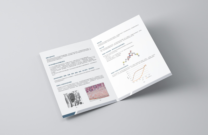 飼料產(chǎn)品宣傳二折頁設(shè)計(jì)