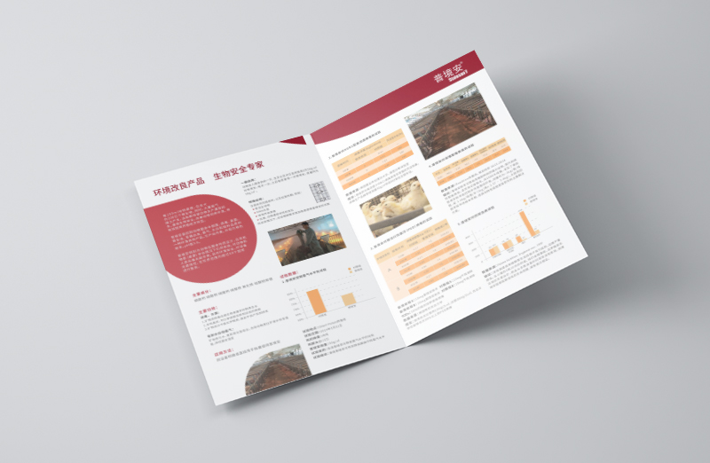 產(chǎn)品宣傳二折頁印刷