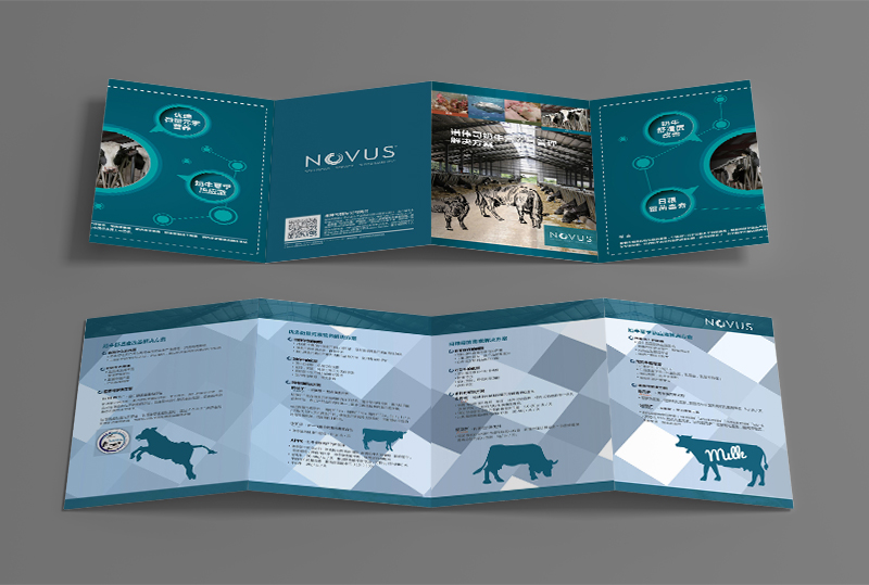 折頁排版設(shè)計